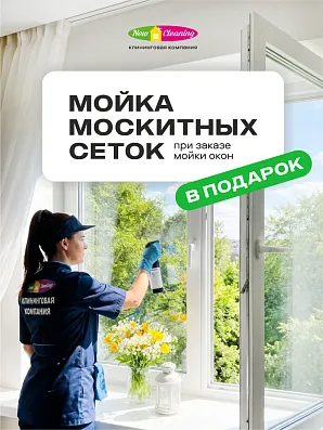 В августе при заказе мойки окон - мытье москитных сеток в подарок