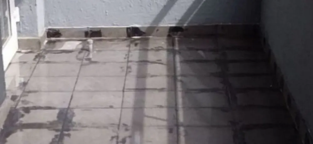 примеры наших работ